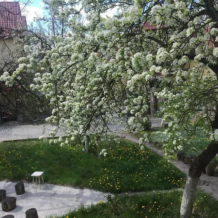 Apartamento квартира-студія Truskavets